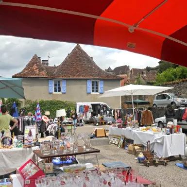 FMAMIP046V50IRQH-Vide grenier Autoire