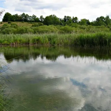 RNR marais de Bonnefont