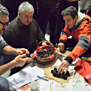 Marché aux Truffes GIGNAC1
