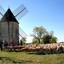 moulin