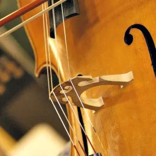 Beethoven, Brahms, Malher Quatuor avec piano