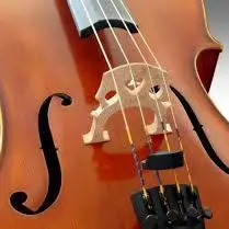 Violoncelle