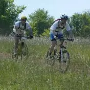 VTT