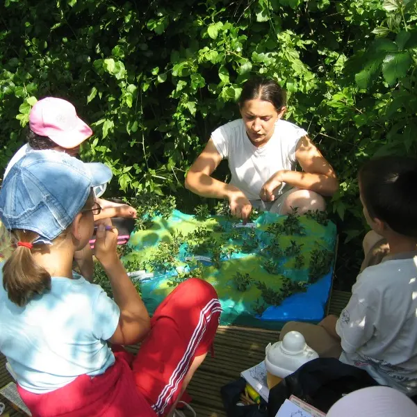 activités buissonnières