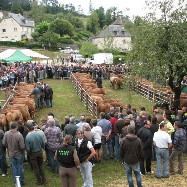 Fête du veau