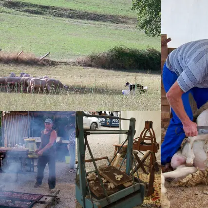 Fête de l'Agneau Thégra