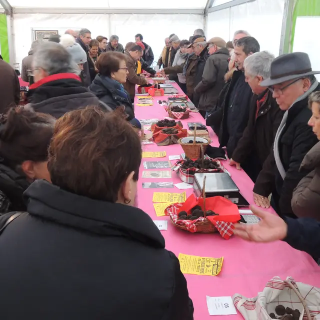 Foire-aux-truffes--repas