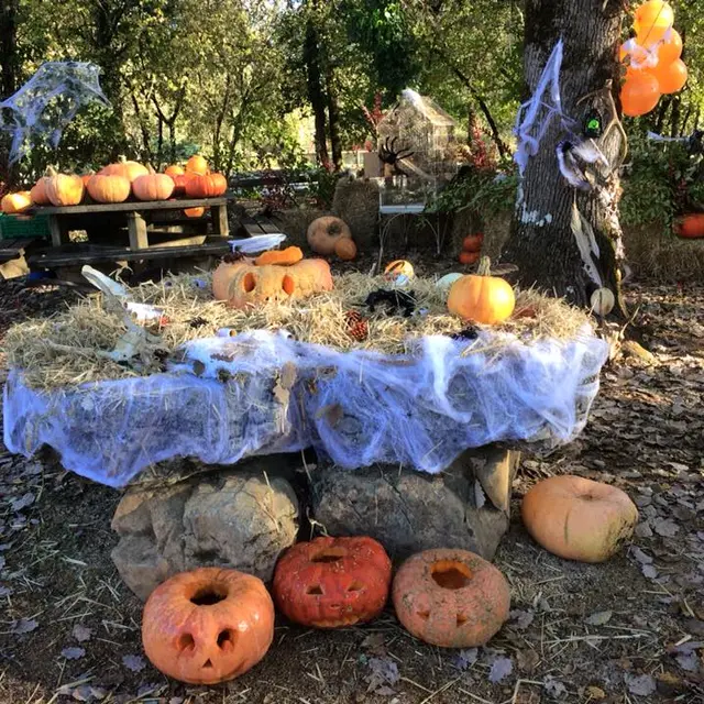 Halloween 2