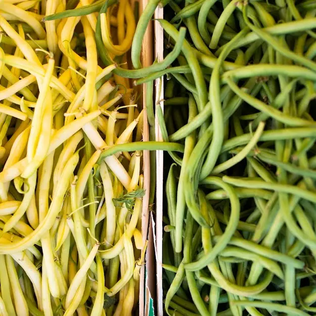 Haricots verts et jaunes