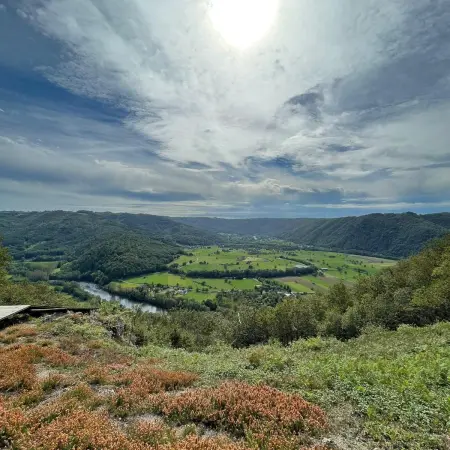 IMAGE-1-450x600