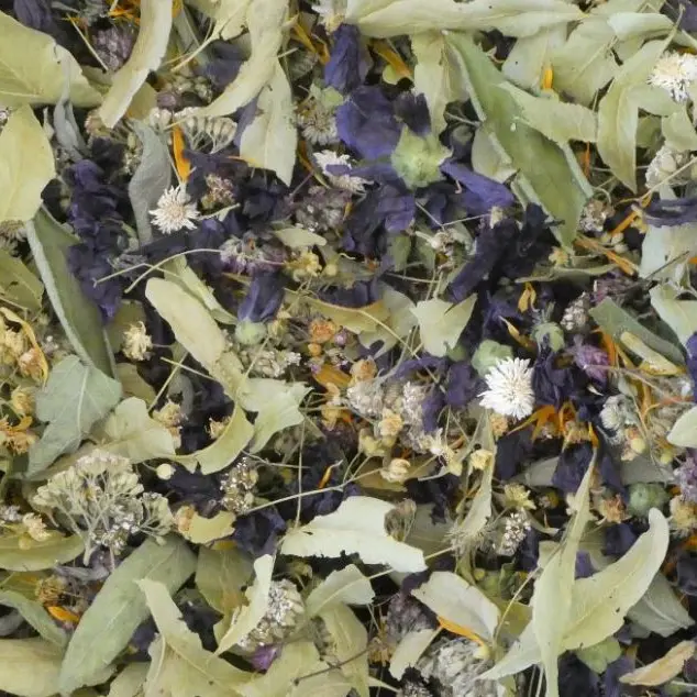 Infusion de plantes