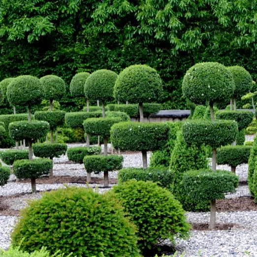 Jardins Sothys_Constellation