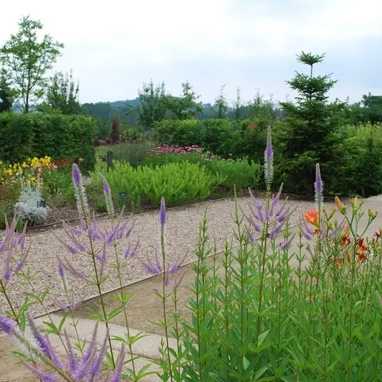 LES_JARDINS_DE_COLETTE_VARETZ_allee3