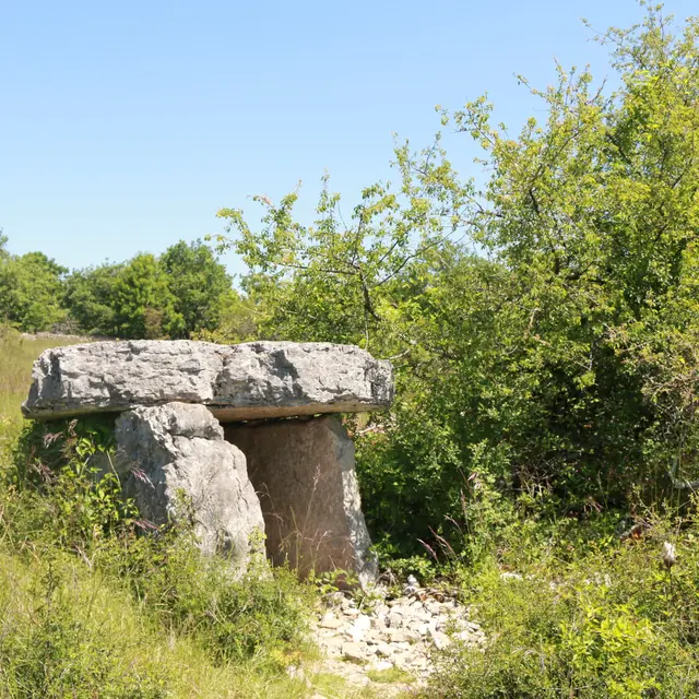Le dolmen©M.Légeron