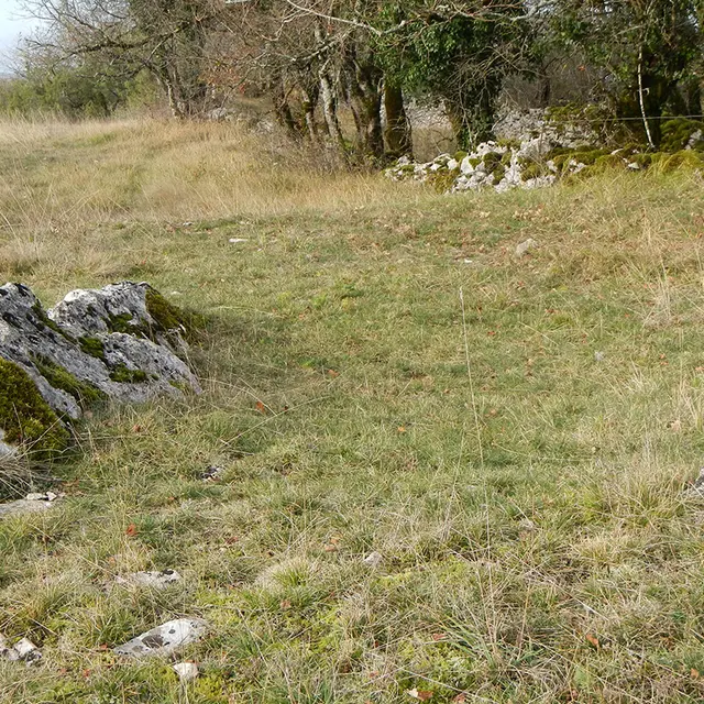Lou Balade - Loubressac