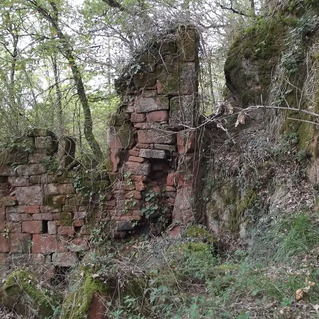 Maison en ruine dans les bois