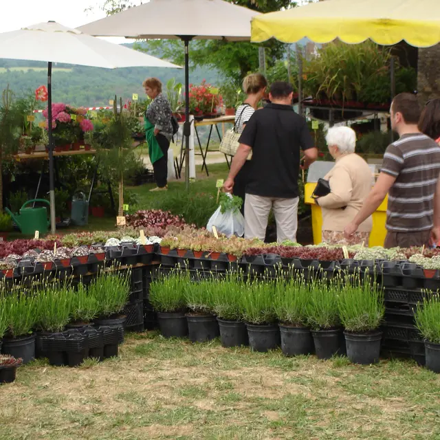 Marché aux fleurs  004