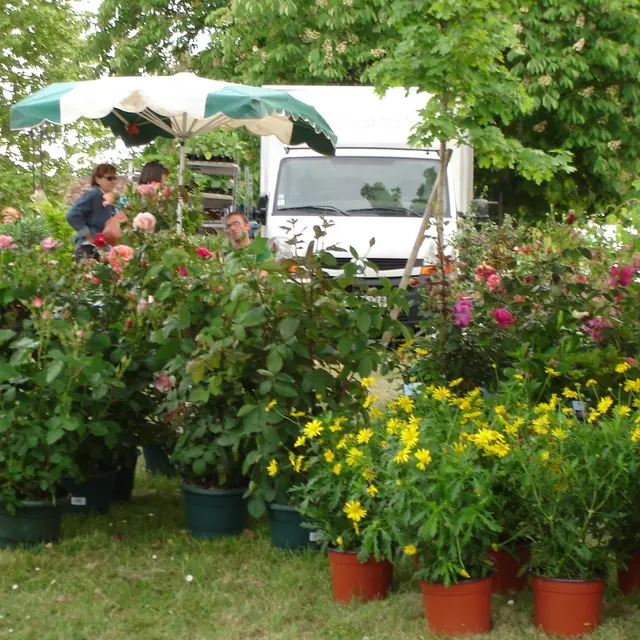 Marché aux fleurs Calès
