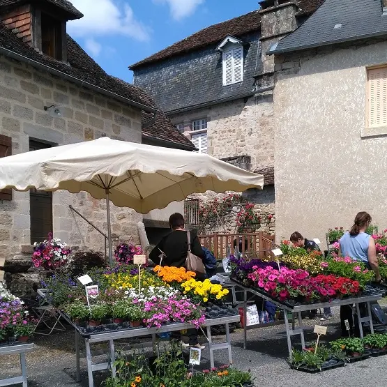 Marché aux plantes 8 mai - Curemonte