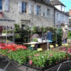 Marché aux plants