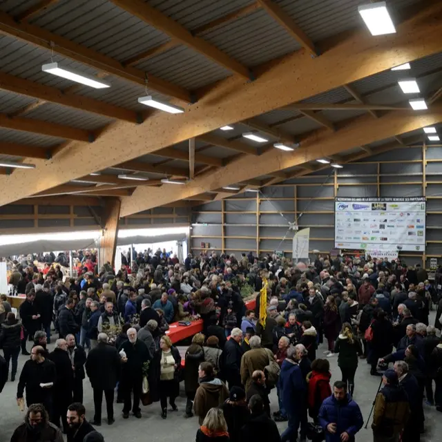 Marché aux truffes de Cuzance © Lot Tourisme - M. Taburet