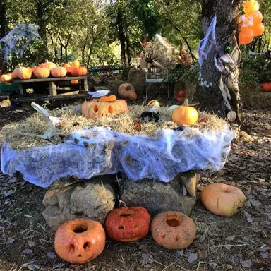 MerleHalloween