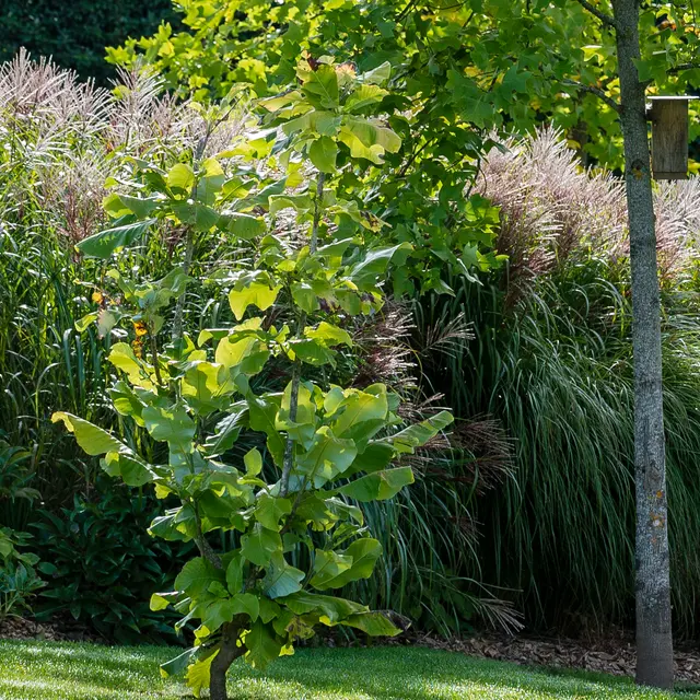 PHOTOS-JARDINS-SELECTION-7-2015-PERDERAU-PHOTOGRAPHY