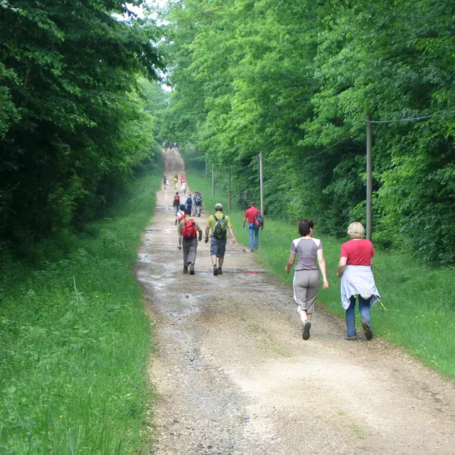 Randonnée_ESD_2009_-_en_se_rendant_à_Champdoux