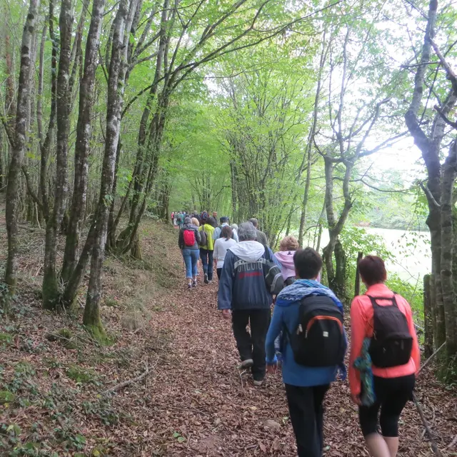 Randonneurs-de-Curemonte