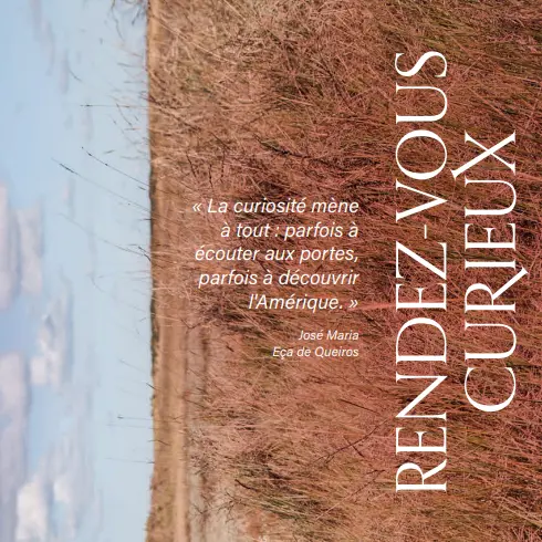 Rendez-vous des curieux 2023-2024