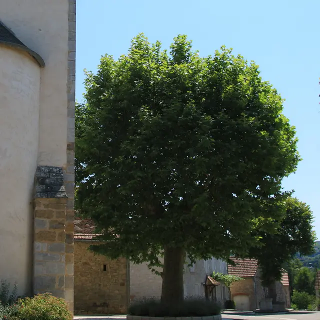 StMichel de B. Condat.place du village