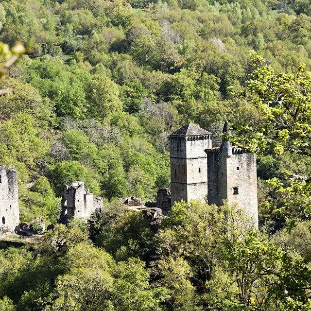Les Tours de Merle