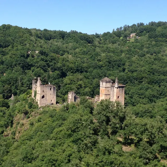 TOURS_DE_MERLE_4BIS