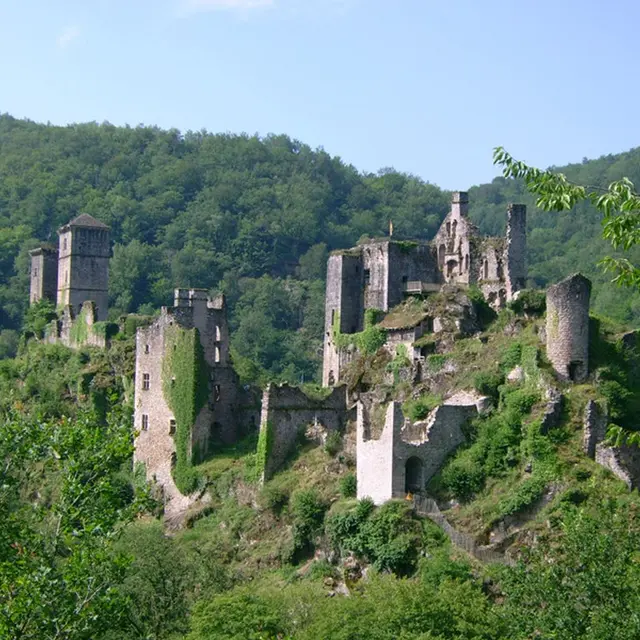 TOURS_DE_MERLE_2
