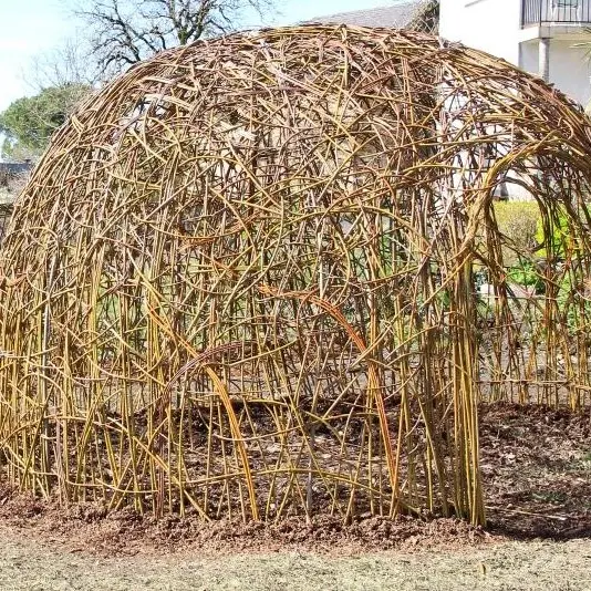 Tonnelle-a-la-construction