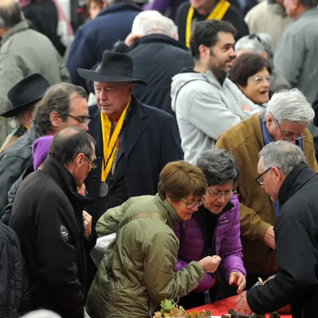 Tractations sur le marché de Cuzance © Lot Tourisme - M. Taburet