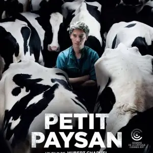 affiche ciné petit paysan