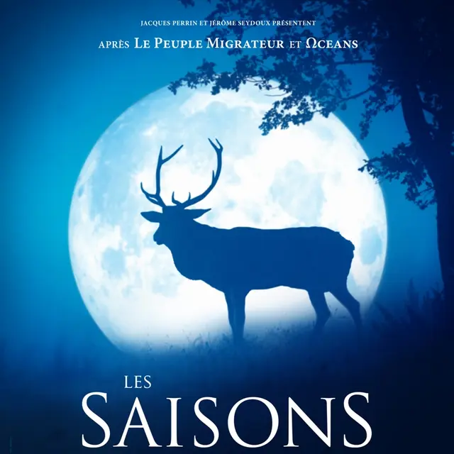 affiche les saisons bleu (1)