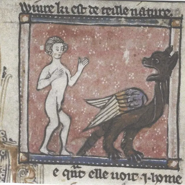 amismuseeraymondie-bestiaire médieval-050518