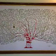 arbre généa