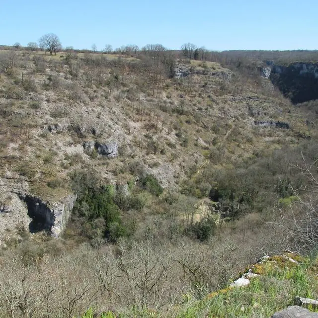 Balade Botanique Moulin du Saut