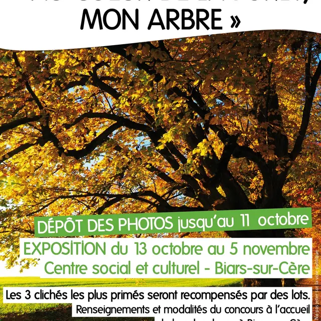 concours-photo-foret