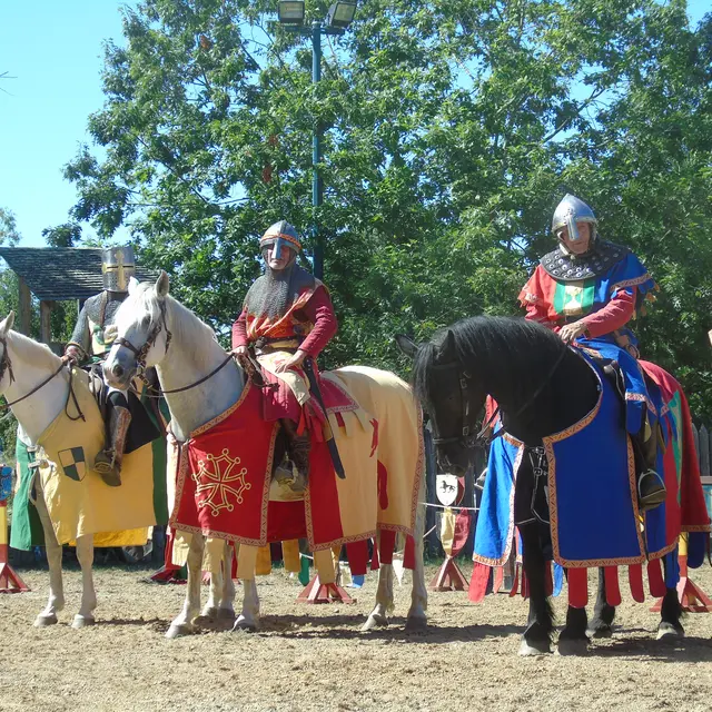 faydits doc equestre