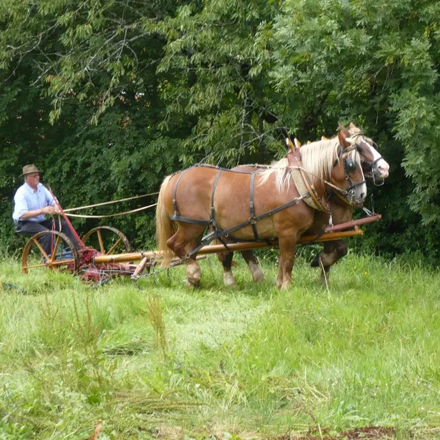 fete des vieux métiers - Lostanges