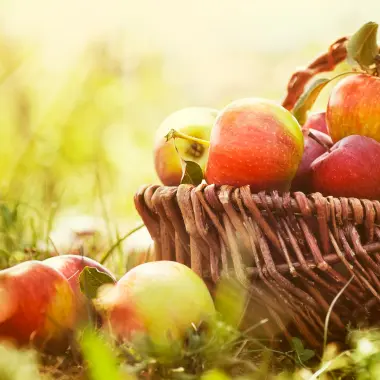 fruits_legumes_automne_bio_roanne-1-1-600x380