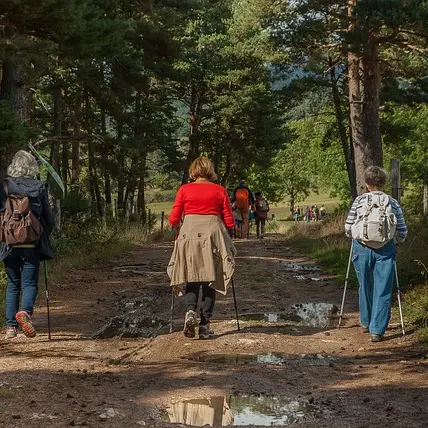 hikers-2713335_640