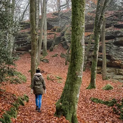 hiking-7667621_640