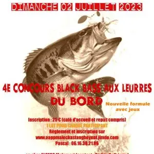 image (3)