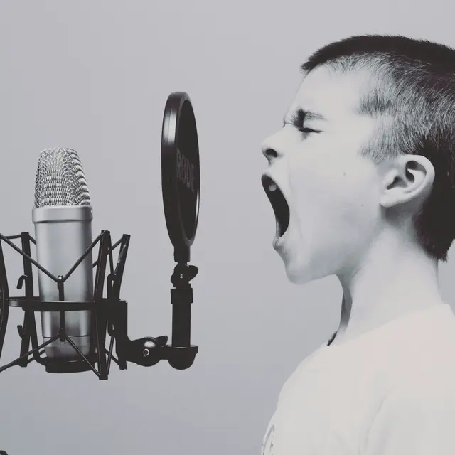 chanteur