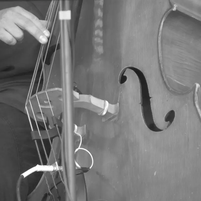 jazz contrebasse